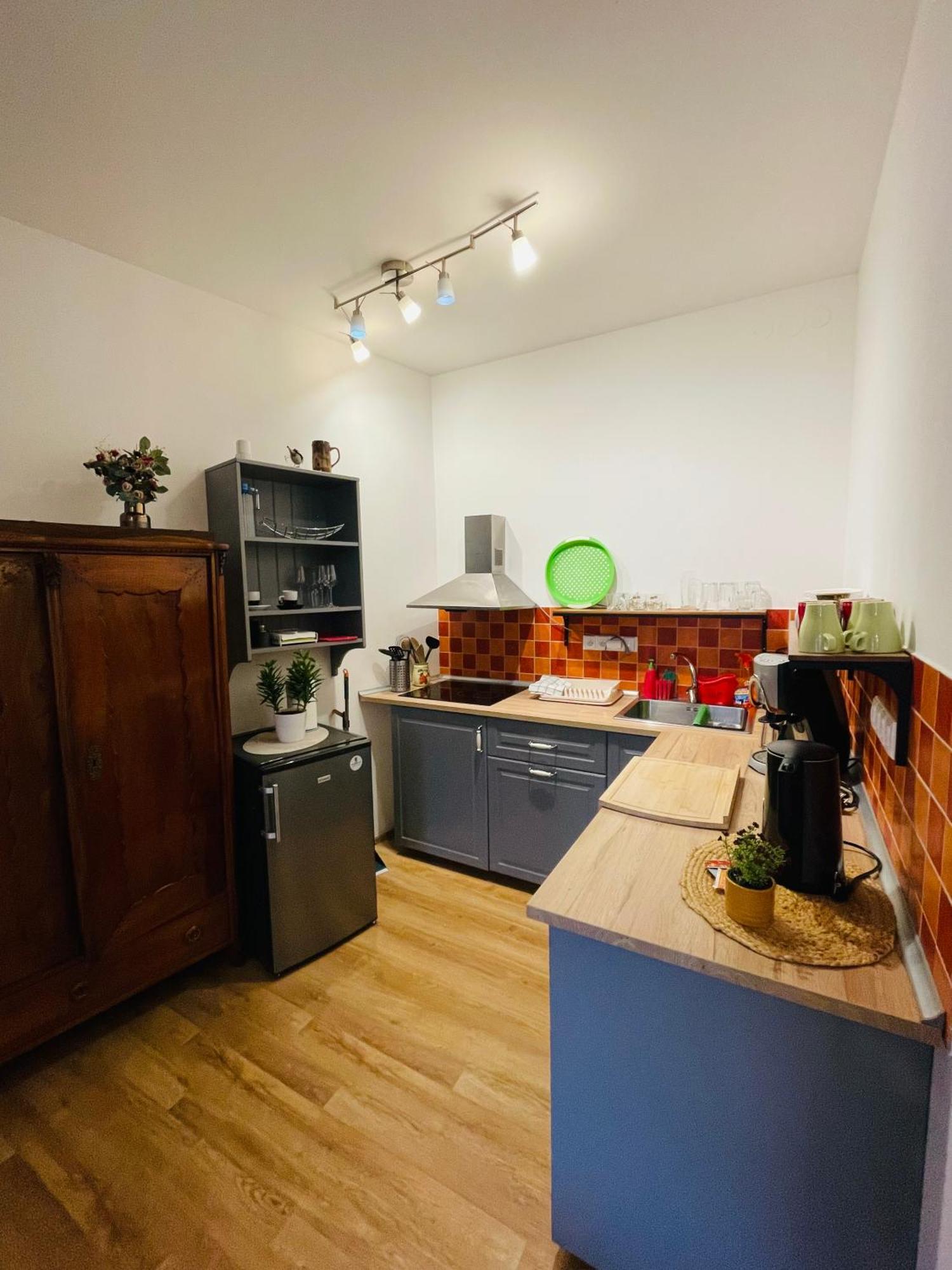Apartman U Splavu Теплице-над-Метуи Экстерьер фото